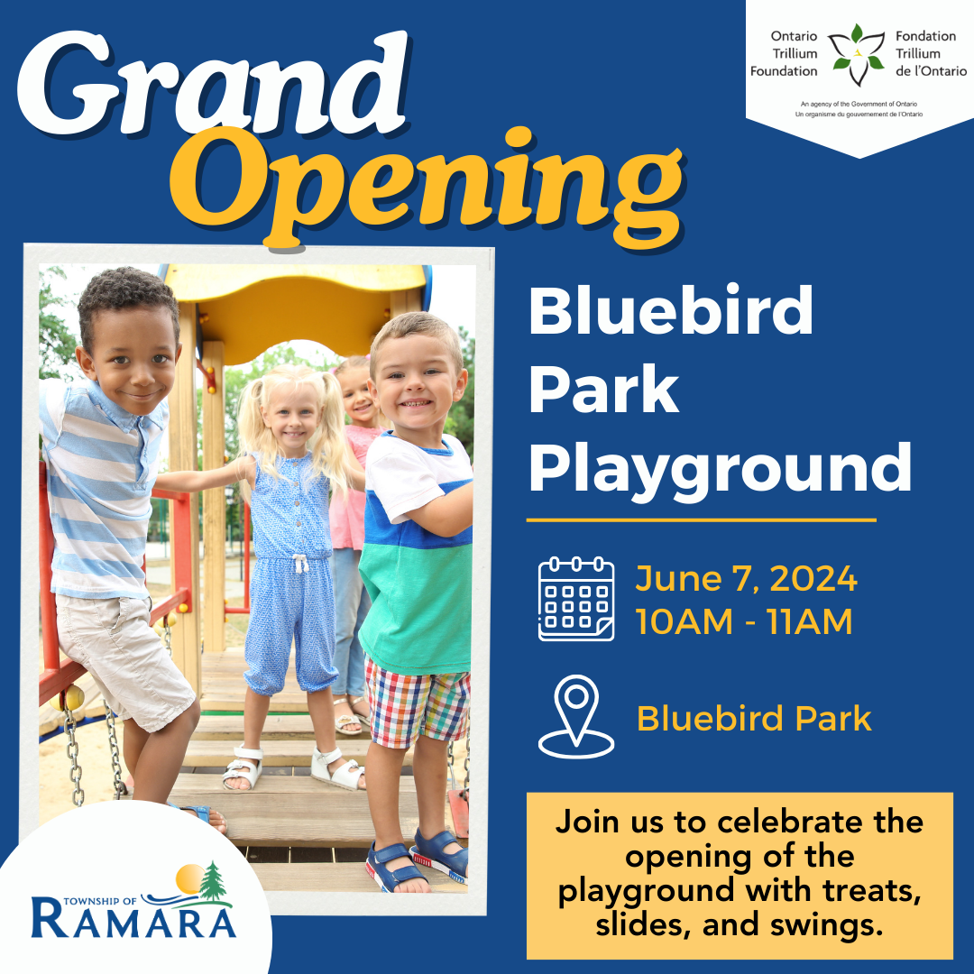 Grand Opening of Playground Invitation 