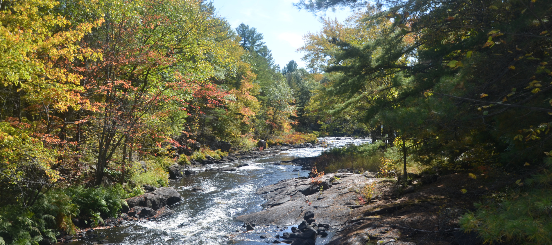 fall waterways