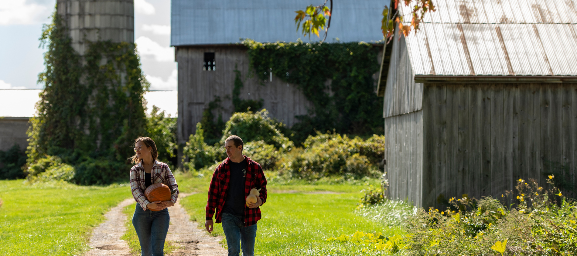 two people walking with pumpkins and ghords from farm